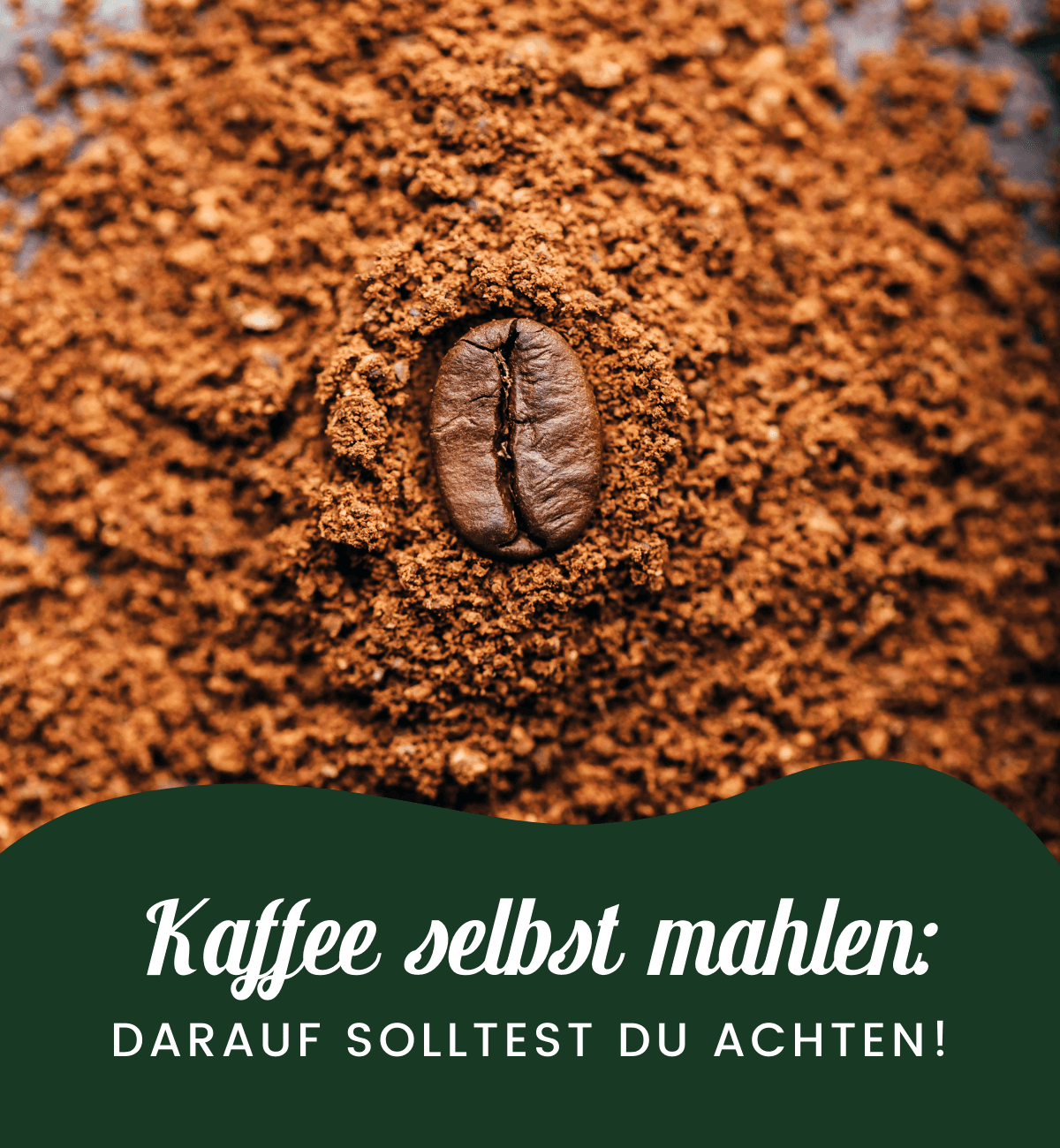 Kaffee selbst mahlen: darauf solltest du achten!